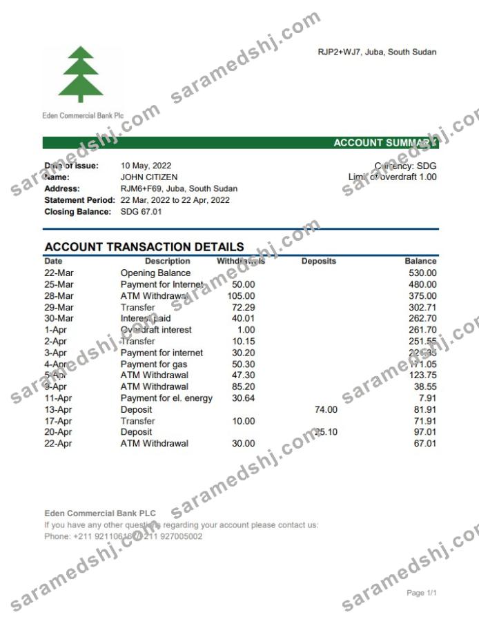South Sudan Eden Commercial Bank statement